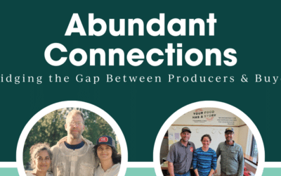 Reflections: Abundant Connections