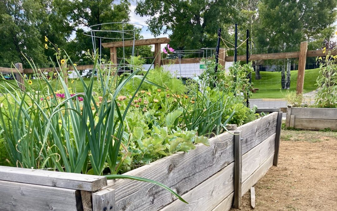 Growing the Community by Growing Food