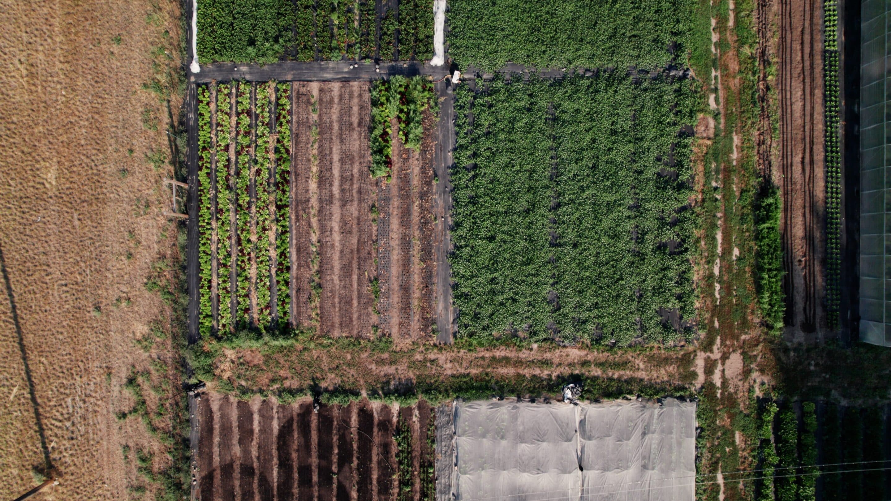 More Than Meets The Eye: Montana’s Specialty Crop Producers
