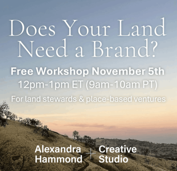 Screenshot 2025-10-27 at 3.11.02 PM