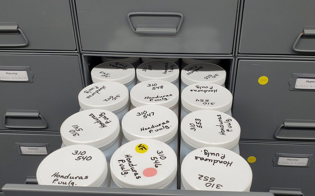 MYTHBUSTER: Does Going Organic Take Too Much Paperwork?