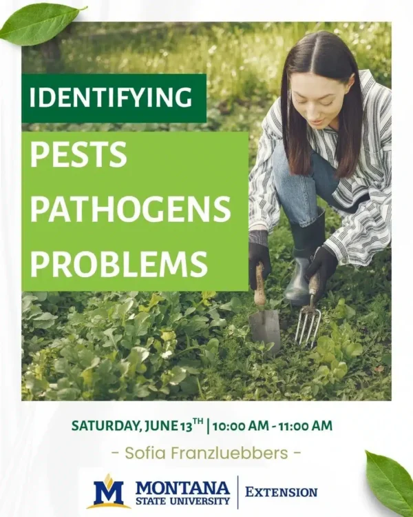 pests & pathogens workshops